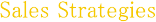 Sales Support Sales strategies